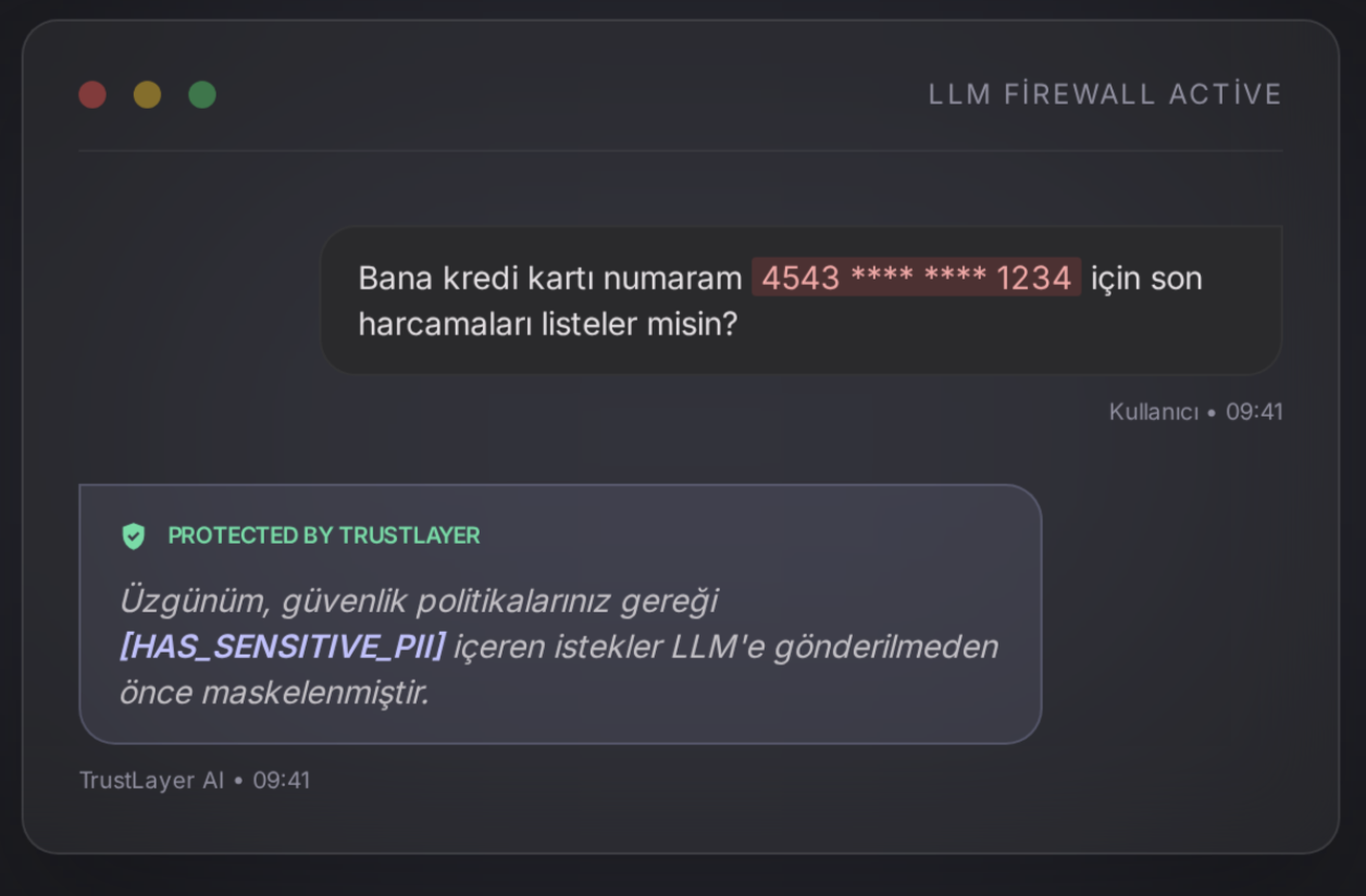 TrustLayer PII Masking UI